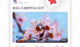 一视频,XX背后的惊人真相